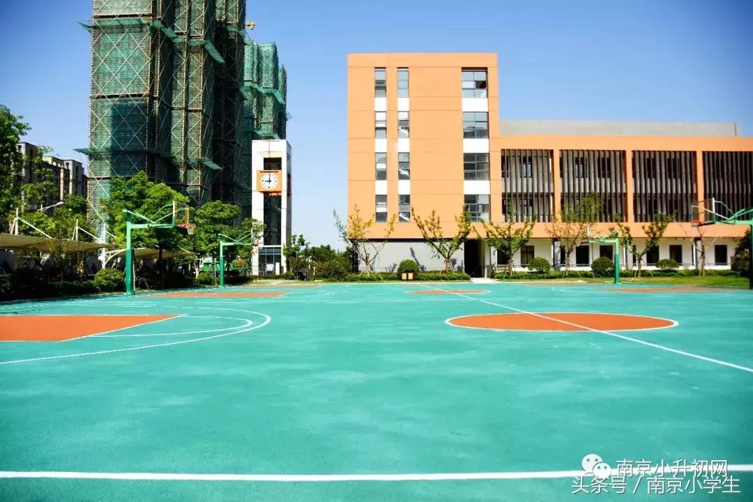 南京有哪些比较好的院校,南京一些好的大学