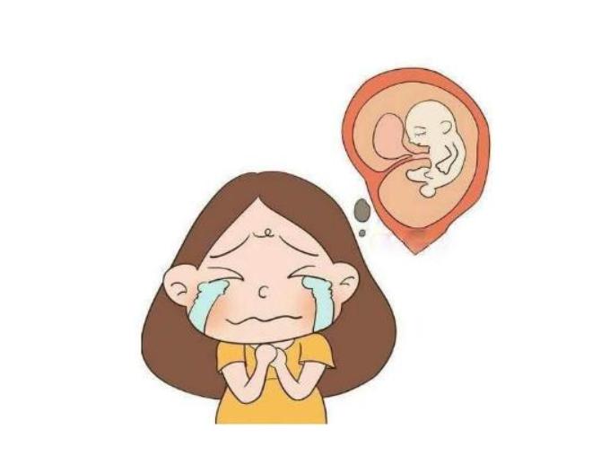 一次就中的易孕体质有哪些特征,有的人为什么易孕体质