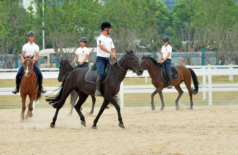 武汉商学院军运会游泳馆,武汉商学院体育馆