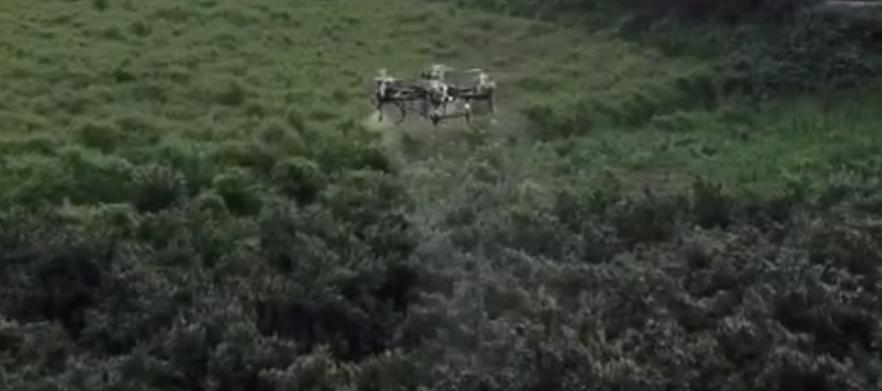 果树植保解决方案有哪些,果树植保国家权威