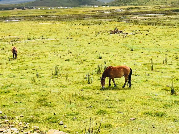女骑士大踏板摩旅318川藏线 (318川藏线天堂之路)