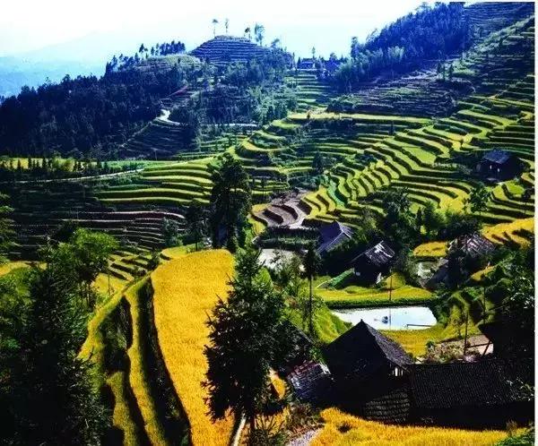 国内最美的十大海滨城市,国内最撩人的20个金秋童话