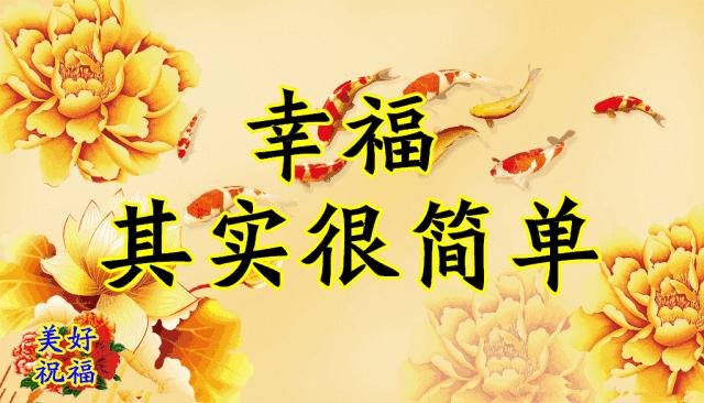 会动的图片一览表,会动的图片完整版