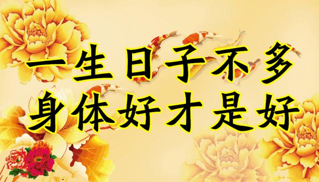 会动的图片一览表,会动的图片完整版