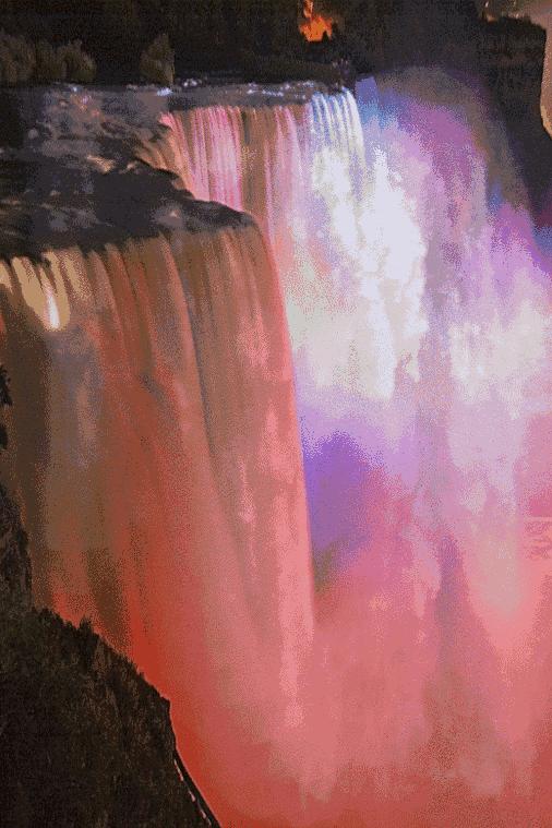 会动的11张图片,会动的花动态图片