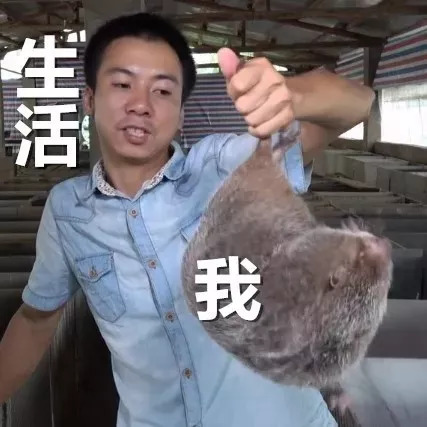 今年开学季这拨新生名字，比往年每届都令老师发指