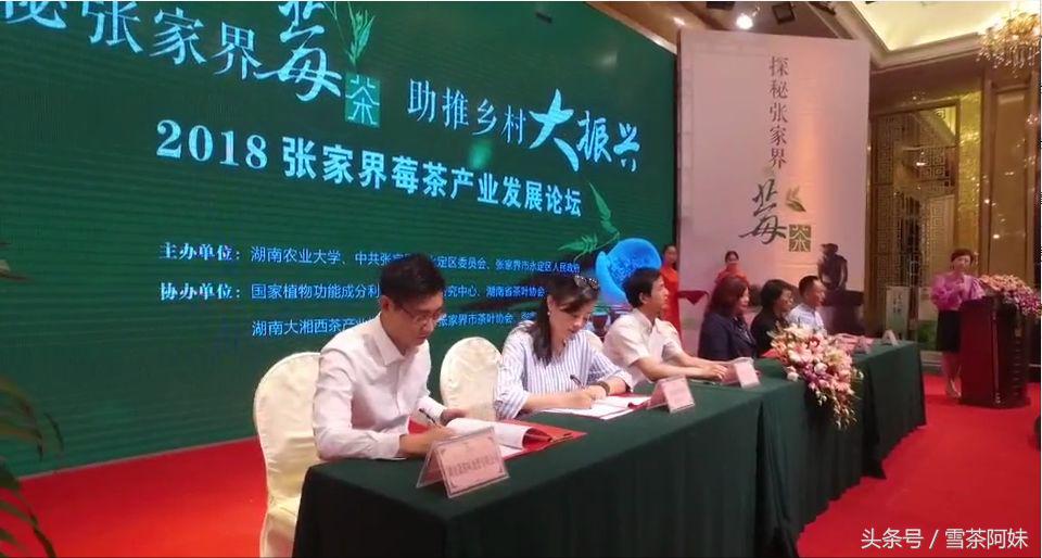 湖南省对张家界莓茶产业的政策,张家界莓茶文化节新闻发布会