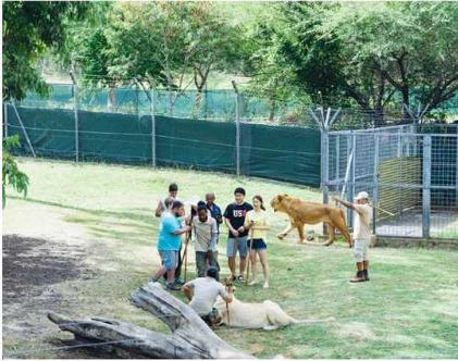 毛里求斯旅游攻略自由行,毛里求斯5晚8天旅游