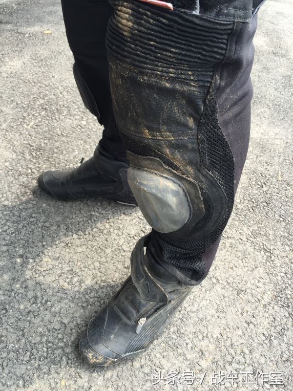 隐藏在绿化带里的罪恶,隐藏在黑暗深处的罪孽