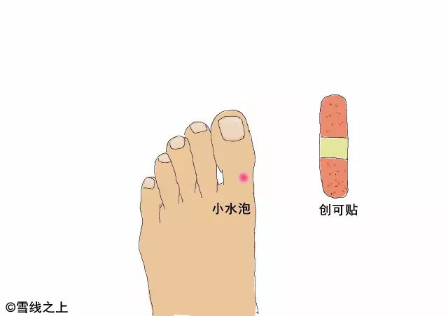 陶冶徒步最佳路线,陶冶户外徒步挑战赛