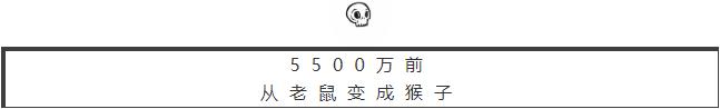 人体哪个部位让你，忍不住伸出舌头，想舔……｜从5500万年前说起