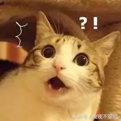 可以不用卸妆的素颜神器,持久不脱妆伪素颜神器