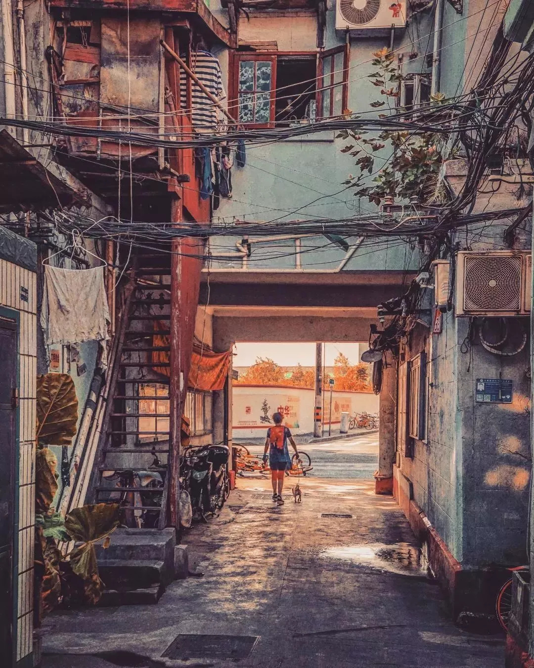 上海惊艳视频,上海夜景震撼外国人视频横屏