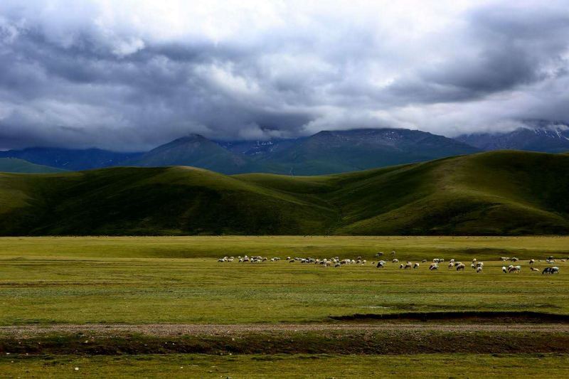北疆环线10日游最新,北疆环线10日游旅游团