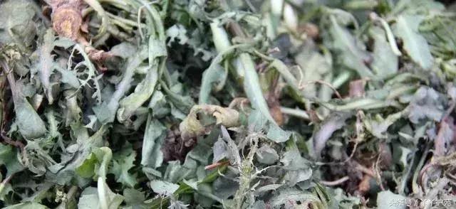 一副中药30多味药是大方子吗,一个方子30多味中药