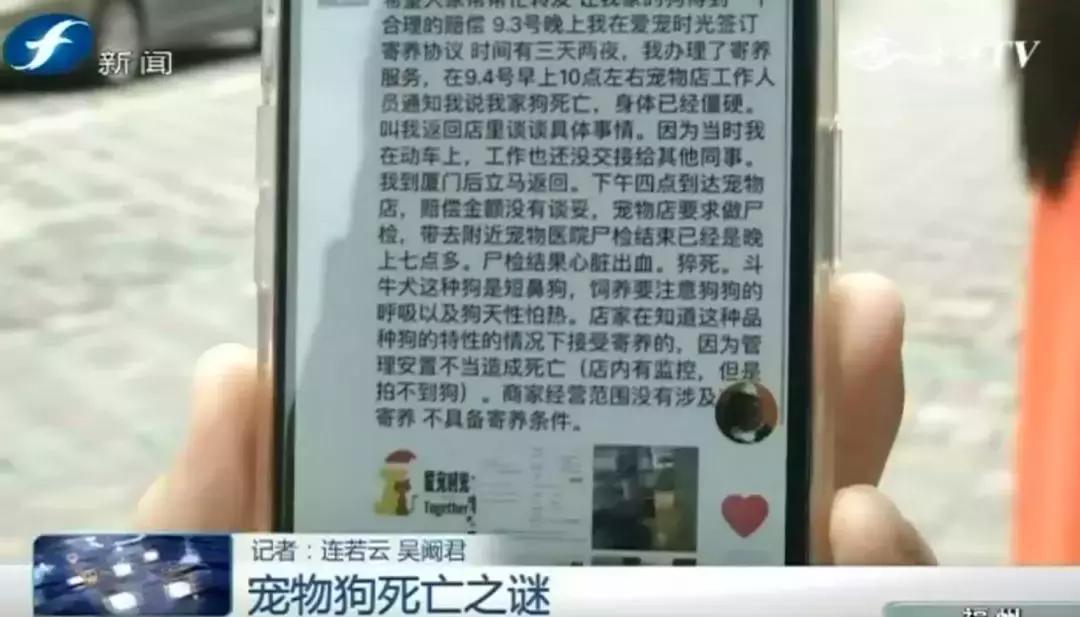 宠物店签订协议寄养死了怎么赔偿,为什么幼犬会在一夜之间莫名死亡