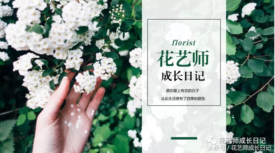 想当花艺师怎么自学,如何成为一个花艺师