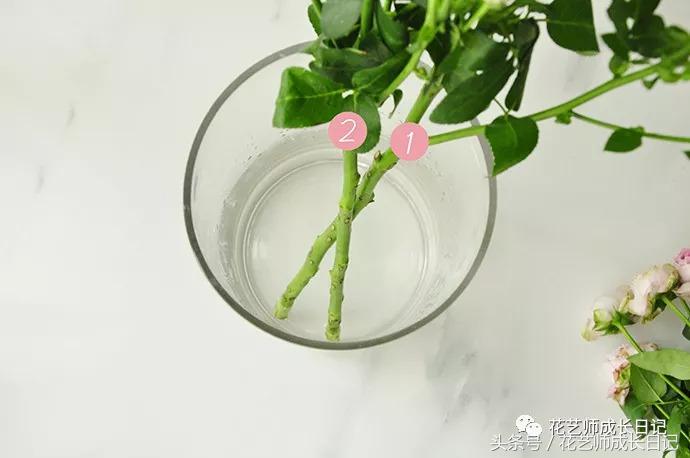 想当花艺师怎么自学,如何成为一个花艺师