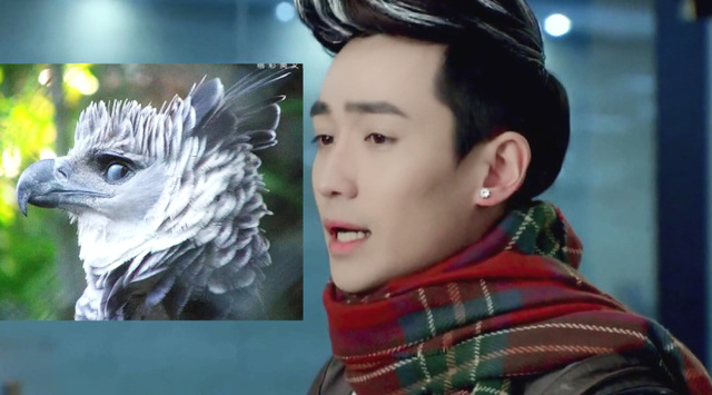 男生给爸爸做饭,最幸福的事做饭给父母吃