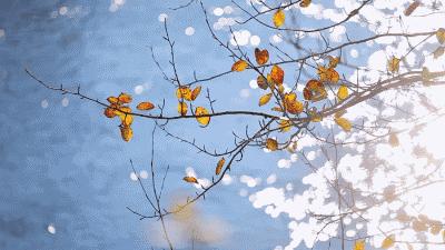 在阳原能做到什么,阳原旅游攻略自由行