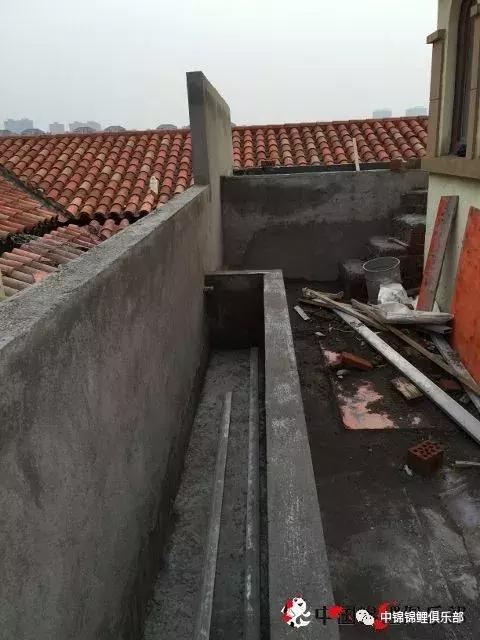 楼顶鱼池有哪些,屋顶鱼池的建造方法