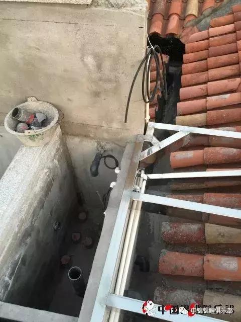 楼顶鱼池有哪些,屋顶鱼池的建造方法