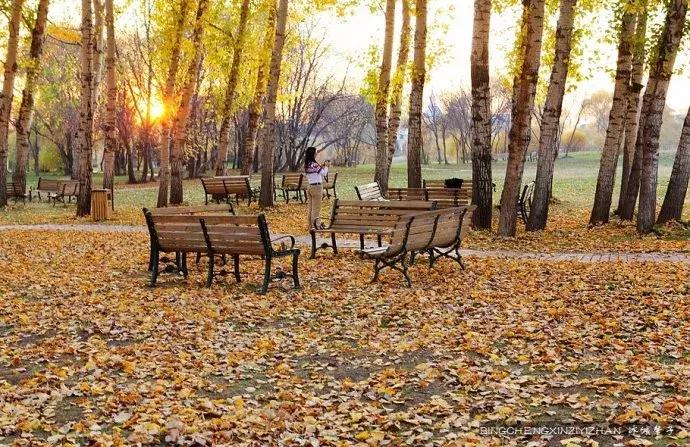 国庆伏尔加庄园,哈尔滨伏尔加庄园三日游