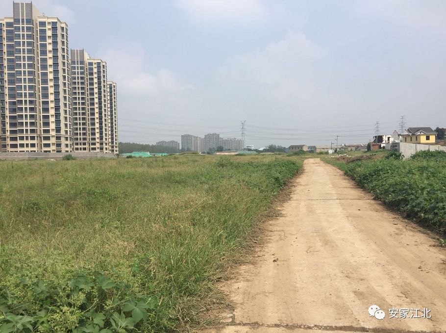 江北新区哪些楼盘是保障房,房产深度分析保障房