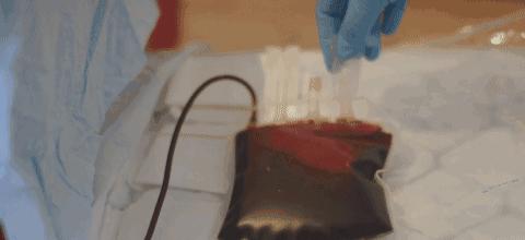 明明是科普纪录片，主持人却用自己的血做起了“暗黑美食”