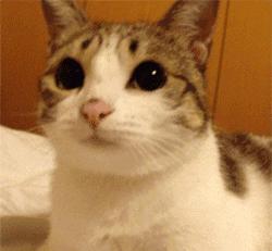 女子整容手术后眼睛失明,南宁一女子整形失败