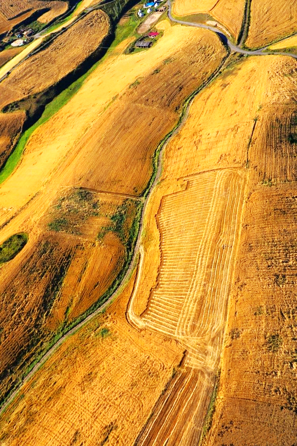 江布拉克的美景描述,风吹麦浪风景视频