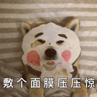 下了长途机依然美到炸!这才是明星在飞机上最爱做的秘密!