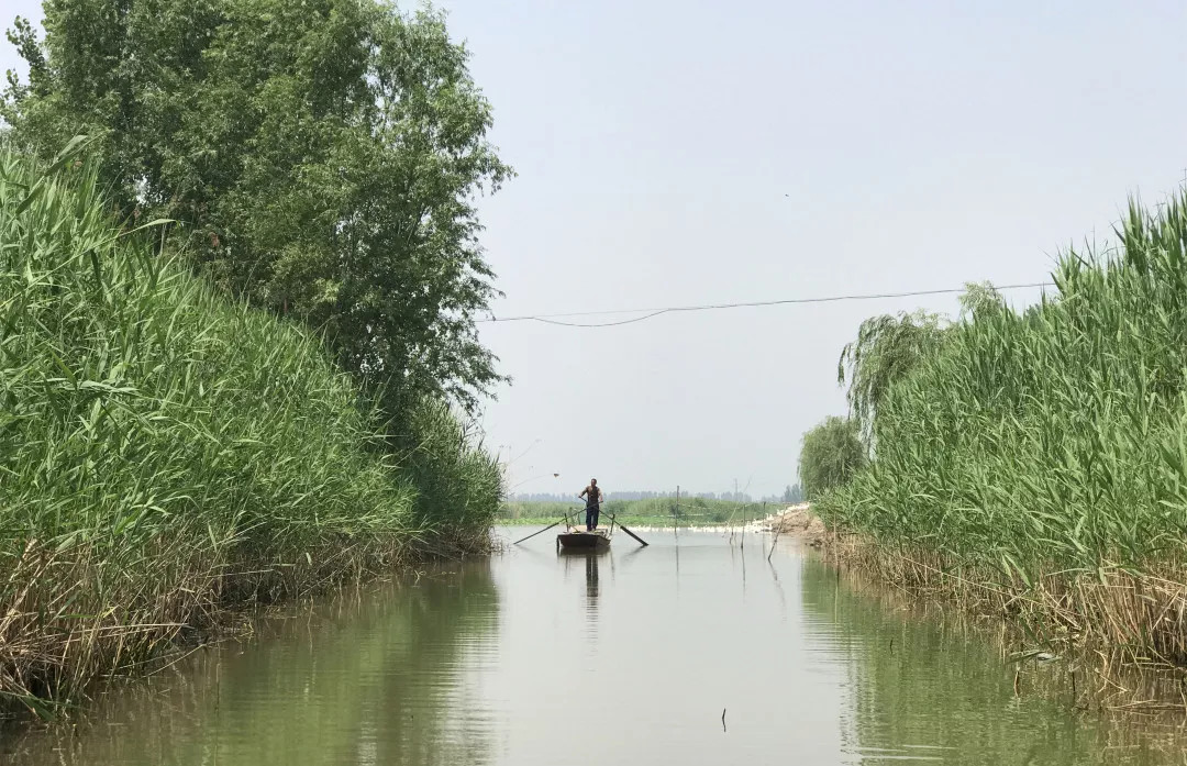 下站该往哪里去,下站了该去哪