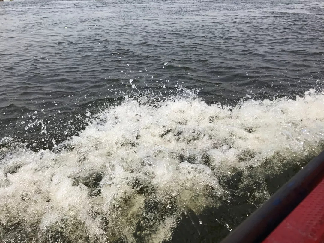 下站该往哪里去,下站了该去哪