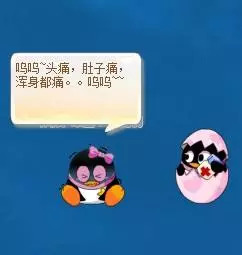 qq宠物面临停服,qq宠物停止运营