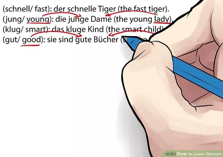 怎样零基础学好德语,德语学几年能学好