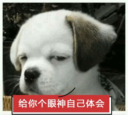 看过了街头魔幻标语，就连段子手和语文老师都要甘拜下风！