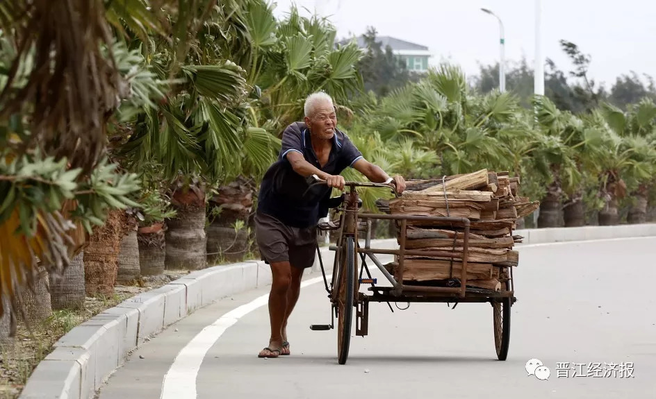 晋江最新通知台风影响,台风登陆晋江最新消息