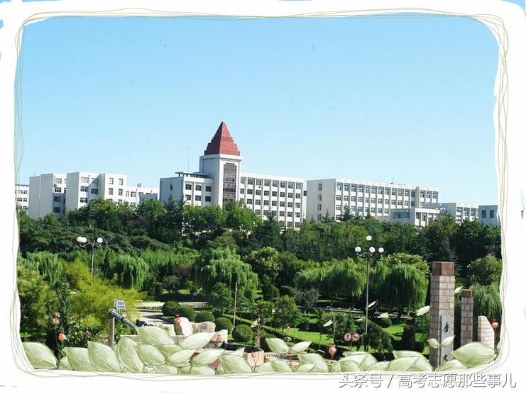 鲁东大学最好的专业是什么,鲁东大学计算机专业全国排名