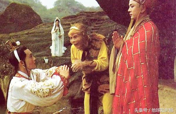 骑完骆驼再骑驴，真正的西域神兽是谁？地球知识局