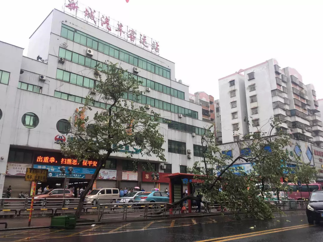 广东清远台风最新通知,台风苏拉登陆广东清远会停课吗