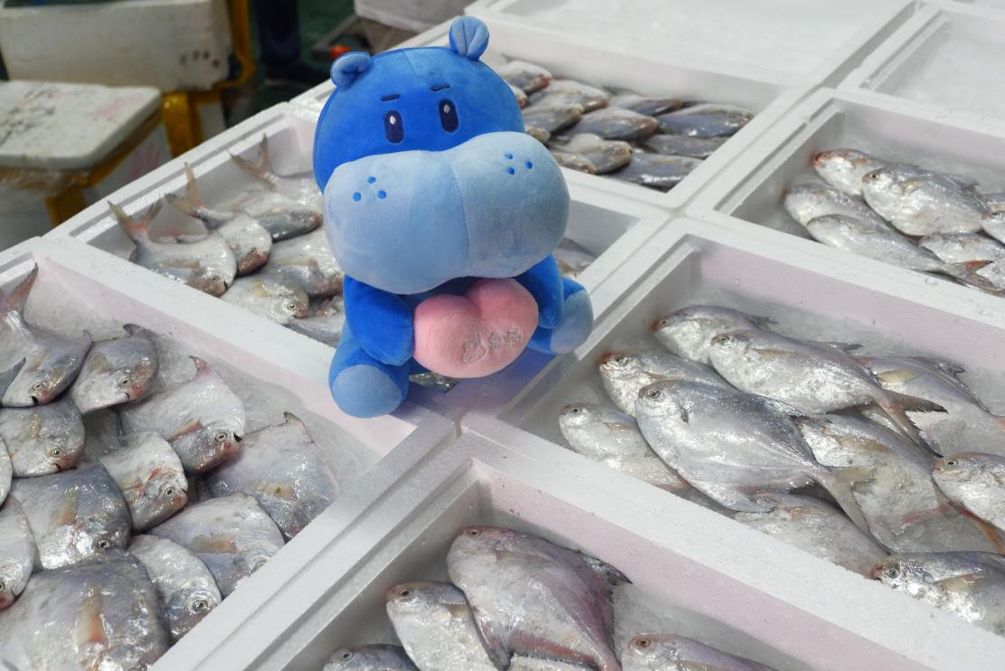 东海开渔捕蟹,东海开渔捕海鲜