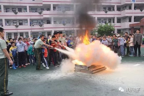 滁州市紫薇小学校,滁州市紫薇小学图标