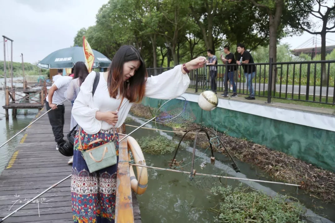 沙家浜二日游旅游攻略,沙家浜春节一日游攻略