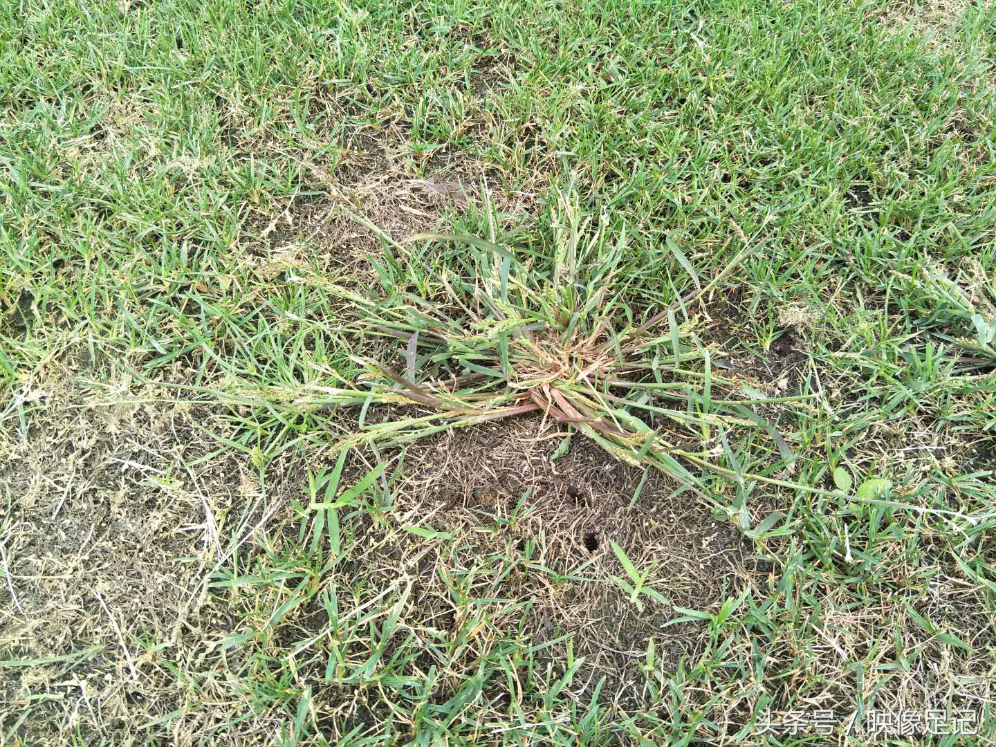 涓浗瓒冲崗濂宠冻鎯ㄨ触鑽峰叞,涓浗濂宠冻璁╀汉蹇冪柤