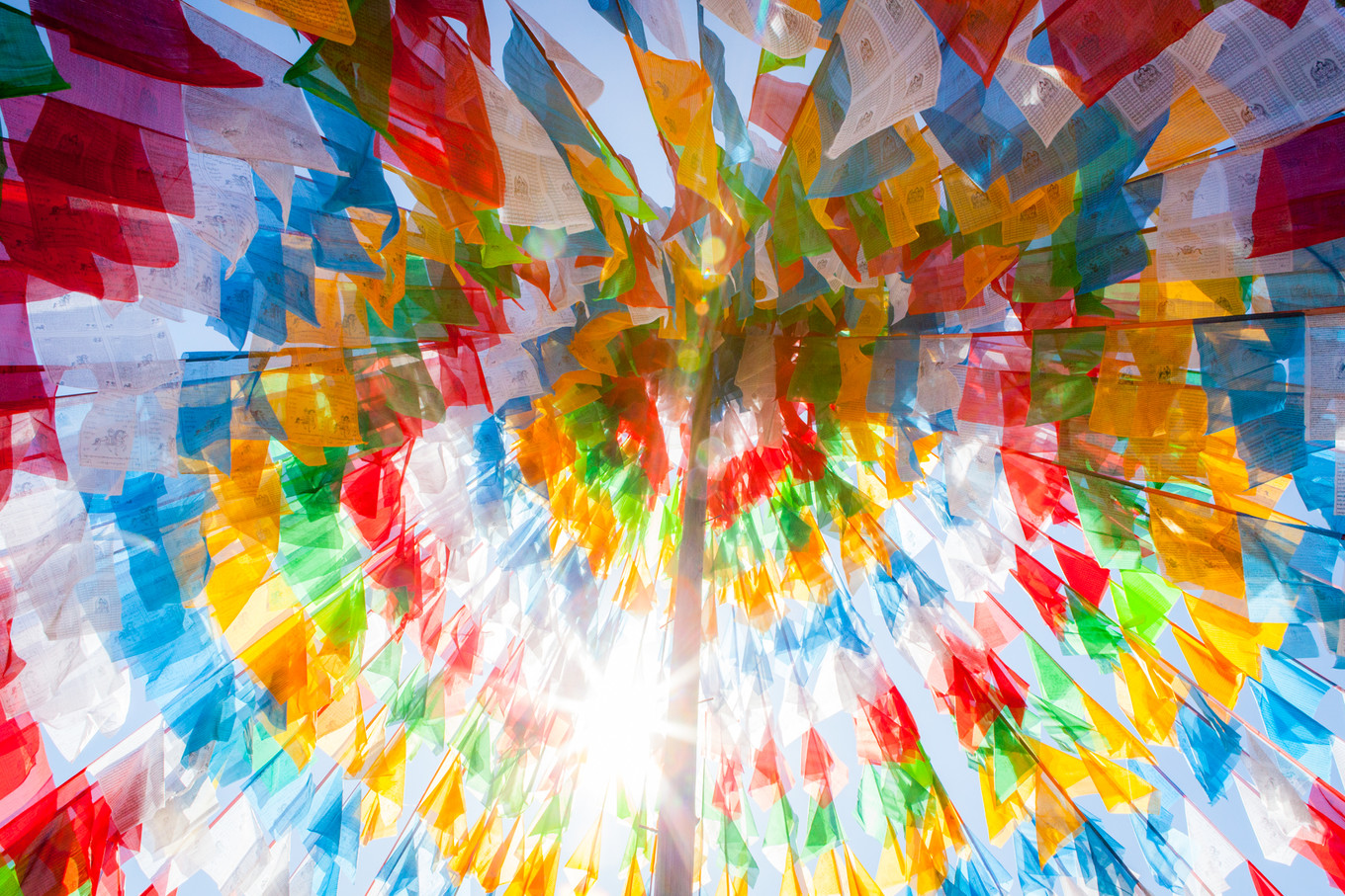 *藏西**一场阔别已久的重逢