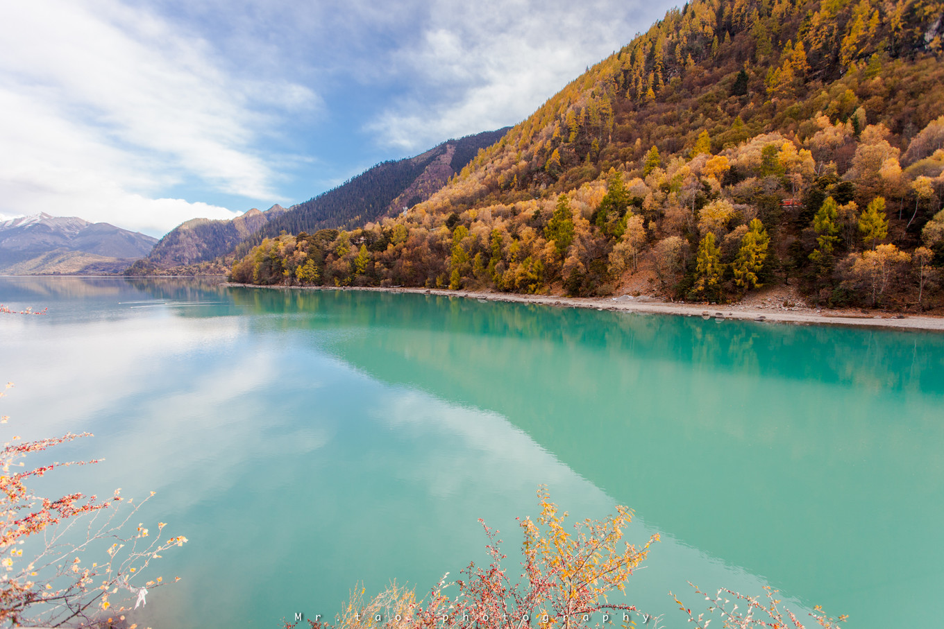*藏西**一场阔别已久的重逢