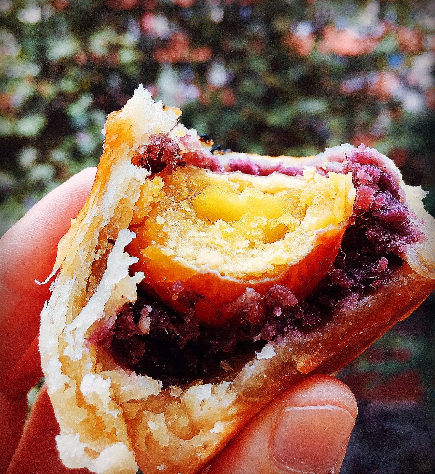 娣樺疂濂藉悆鐨勮泲榛勯叆鎺ㄨ崘,娣樺疂搴椾笂鐨勮泲榛勯叆