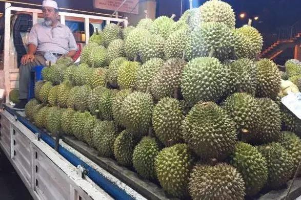 马来西亚沙巴度假海岛,马来西亚的沙巴