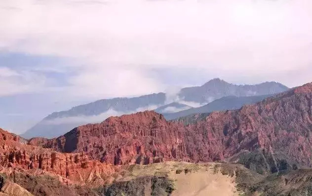 青海十大怪事完整视频,青海十大怪树